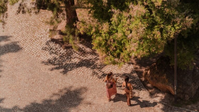 Aerial shot of two people walking on a cobblestone path in a sunny Lisbon park under trees.